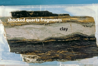 The most probable cause of the Cretaceous-Tertiary (K/T) mass extinction resulting in the effects as shown,was _____.   A) loss of dinosaurs B) sea level change C) volcanoes D) plate tectonics E) meteorite impact