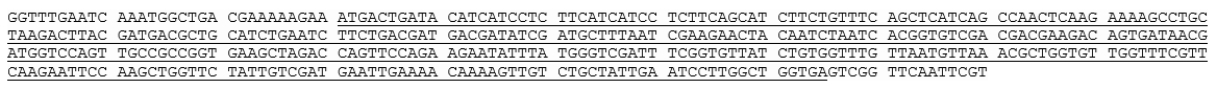  According to the sequence below (note that the DNA is written in the 5'  \rightarrow  3' direction, and the gene of interest is underlined) , the BEST forward primer to use for this gene is:   A)  5' GGTTTGAATCAAATGGCTGA 3'. B)  5'ATGACTGATACATCATCCTC 3'. C)  3' ATGACTGATACATCATCCTC 5'. D)  5' GAGGATGATGTATCAGTCAT 3'. E)  3' GAGGATGATGTATCAGTCAT 5'. 