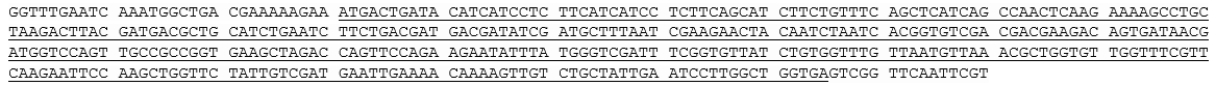  According to the sequence below (note that the DNA is written in the 5'  \rightarrow  3' direction, and the gene of interest is underlined) , the BEST reverse primer to use for this gene is:   A)  5' ATTGAATCCTTGGCT GGTGA 3'. B)  ' ATTGAATCCTTGGCT GGTGA 5'. C)  5' TCACCAGCCAAGGATTCAAT 3'. D)  3' TCACCAGCCAAGGATTCAAT 5''. E)  3' GGTGAGTCGG TTCAATTCGT 5'. 