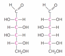 The two monosaccharides shown below could BEST be described as:   A)  ketoses. B)  anomers. C)  rotamers. D)  epimers. E)  enantiomers.