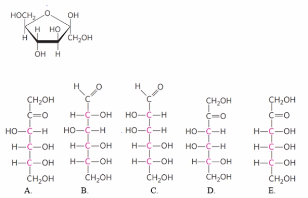 Based on the form of the cyclic sugar shown below in a Haworth projection, which Fischer projection formula could have formed this structure?  <div style=padding-top: 35px> 
