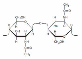  What is the CORRECT name for the linkage between these monosaccharide derivatives?   A)  ( \alpha 1 \rightarrow  4)  B)  ( \beta 1 \rightarrow  4)  C)  (1 4)  D)  ( \alpha 1 \rightarrow   \beta 4)  E)  ( \alpha 1 \rightarrow   \alpha 4)  