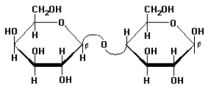 In the following structure:   (a) How many of the monosaccharide units are furanoses and how may are pyranoses? (b) What is the linkage between the two monosaccharide units? (c) Is this a reducing sugar? Explain.