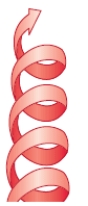  The secondary structure shown below is an example of a(n) :   A)  parallel  \beta  sheet. B)  antiparallel  \beta  sheet. C)  right-handed  \alpha  helix. D)  left-handed  \alpha  helix. E)   \beta  turn. 
