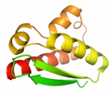 Identify and quantify the secondary structures present in this protein:  