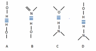 Which diagram CORRECTLY represent a hydrogen bond?   A)  A and D B)  A and C C)  B and C D)  C and D E)  B and D