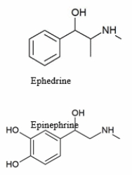 Polar molecules cannot easily pass through the cell membrane, but hydrophobic molecules can easily pass through the membrane. The two molecules shown in the diagram both have effects that include raising blood pressure. Comparing two molecules to the right, which statement is TRUE?   A)  Ephedrine can more easily pass through the cell membrane than epinephrine. B)  Epinephrine can more easily pass through the cell membrane than ephedrine. C)  Both epinephrine and ephedrine can pass through the cell membrane equally well. D)  Neither epinephrine nor ephedrine can pass through the cell membrane. E)  None of the statements is true.