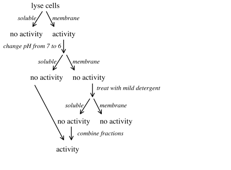  You are trying to isolate an enzyme that catalyzes the conversion of A  \rightarrow  B, and you have a sensitive assay for this enzyme. After lysing open the cells, you find that the activity is associated with the membrane fraction, not the soluble fraction (which you throw away). You then follow the procedure shown below. Explain the sudden re-occurrence of activity at the end of your protocol.   