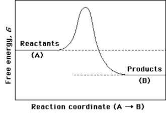  (a) On the reaction coordinate diagram shown below, label the transition state and the overall free-energy change ( \Delta G) for the uncatalyzed reaction A  \rightarrow  B. (b) Is this an exergonic or endergonic reaction? (c) Draw a second curve showing the energetics of the reaction if it were enzyme-catalyzed.   