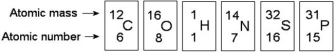 Use the following figure to answer the questions below.    -How many electrons does an atom of sulphur have in its valence shell (see the figure above) ? A) 4 B) 6 C) 8 D) 16 E) 32