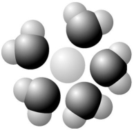   -Based on your knowledge of the polarity of water molecules, the solute molecule depicted here is most likely A) positively charged. B) negatively charged. C) without charge. D) hydrophobic. E) nonpolar.