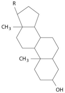 Which of these molecules would be soluble in water? A)    B)    C)    D)    E)   