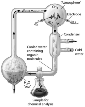 Which of the following people used this apparatus to study the formation of organic compounds?   A) Stanley Miller B) Jakob Berzelius C) Friedrich Wohler D) Hermann Kolbe E) August Kekulé