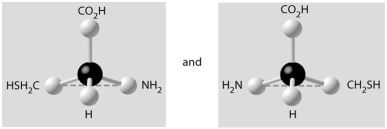 Which pair of molecules shown below are not enantiomers of a single molecule? A)    B)    C)    D)    E)   