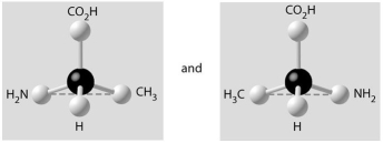 Which pair of molecules shown below are not enantiomers of a single molecule? A)    B)    C)    D)    E)   