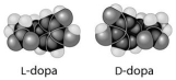 L-dopa and D-dopa, shown below, are an example of a pharmaceutical drug that occurs as enantiomers, or molecules that   A) have identical three-dimensional shapes. B) are mirror images of one another. C) are structural isomers. D) are mirror images of one another and have the same biological activity. E) are cis-trans isomers.