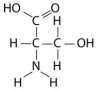 Use the following information to answer the questions below. You are investigating the differences between three organic compounds. They all have the same carbon skeleton but have differences in their functional groups. -Which functional group is not present in this molecule?   A) carboxyl B) sulfhydryl C) hydroxyl D) amino