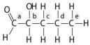 Answer the following questions based on the figure below.    -Which action could produce a carbonyl group? A) the replacement of the -OH of a carboxyl group with hydrogen B) the addition of a thiol to a hydroxyl C) the addition of a hydroxyl to a phosphate D) the replacement of the nitrogen of an amine with oxygen E) the addition of a sulfhydryl to a carboxyl
