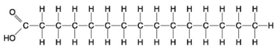   -Which of the following statements is true regarding the molecule illustrated in the figure above? A) It is a saturated fatty acid. B) A diet rich in this molecule may contribute to atherosclerosis. C) Molecules of this type are usually liquid at room temperature. D) It is a saturated fatty acid and a diet rich in this molecule may contribute to atherosclerosis. E) It is a saturated fatty acid, a diet rich in this molecule may contribute to atherosclerosis, and molecules of this type are usually liquid at room temperature.
