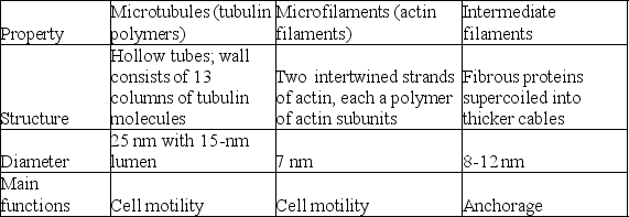 <strong> The differences among the three categories of cytoskeletal elements outlined in the table above would suggest that each of the following has specialized roles. Which of the following is a correct match? (All three elements are involved in the maintenance of cell shape.)</strong> A)microfilaments and the nuclear lamina B)microtubules and cleavage furrow formation C)microfilaments and ciliary motion D)intermediate filaments and cytoplasmic streaming E)microtubules and chromosome movement