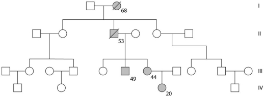 Use the following pedigree shown below for a family in which dark-shaded symbols represent individuals with one of the two major types of colon cancer. Numbers under the symbols are the individual's age at the time of diagnosis.    -From this pedigree, how does this trait seem to be inherited? A) from mothers B) as an autosomal recessive C) as a result of epistasis D) as an autosomal dominant E) as an incomplete dominant