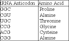 The following information should be used for the next few questions. A part of an mRNA molecule with the following sequence is being read by a ribosome: 5' CCG-ACG 3' (mRNA) . The following charged transfer RNA molecules (with their anticodons shown in the 3' to 5' direction)  are available. Two of them can correctly match the mRNA so that a dipeptide can form.    -The dipeptide that will form will be A) cysteine-alanine. B) proline-threonine. C) glycine-cysteine. D) alanine-alanine. E) threonine-glycine.