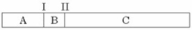   -The segment of DNA shown in the figure above has restriction sites I and II, which create restriction fragments A, B, and C. Which of the gels produced by electrophoresis shown below best represents the separation and identity of these fragments? A)    B)    C)    D)    E)   
