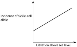 If global warming permits mosquitoes to live at higher altitudes than they currently do, then in which direction should the entire plot in the correct distribution below be shifted?   A.   B.   C.   D. A) to the right B) to the left C) upward D) downward