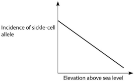 If global warming permits mosquitoes to live at higher altitudes than they currently do, then in which direction should the entire plot in the correct distribution below be shifted?   A.   B.   C.   D. A) to the right B) to the left C) upward D) downward