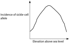 If global warming permits mosquitoes to live at higher altitudes than they currently do, then in which direction should the entire plot in the correct distribution below be shifted?   A.   B.   C.   D. A) to the right B) to the left C) upward D) downward