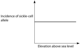 If global warming permits mosquitoes to live at higher altitudes than they currently do, then in which direction should the entire plot in the correct distribution below be shifted?   A.   B.   C.   D. A) to the right B) to the left C) upward D) downward