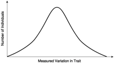 Use the following figure to answer the questions below. In a very large population, a quantitative trait has the following distribution pattern:    -If the curve in the above figure shifts to the left or to the right, there is no gene flow, and the population size consequently increases over successive generations. Which of the following is (are) probably occurring? 1. immigration or emigration 2. directional selection 3. adaptation 4. genetic drift 5. disruptive selection A) 1 only B) 4 only C) 2 and 3 D) 4 and 5 E) 1, 2, and 3