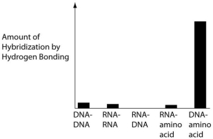 Several scientific laboratories across the globe are involved in research concerning the origin of life on Earth. Which graph below, if the results were produced abiotically, would have the greatest promise for revealing important information about the origin of Earth's first genetic system? A)    B)    C)    D)   