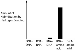 Several scientific laboratories across the globe are involved in research concerning the origin of life on Earth. Which graph below, if the results were produced abiotically, would have the greatest promise for revealing important information about the origin of Earth's first genetic system? A)    B)    C)    D)   
