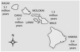 Use the following figure to answer the questions below.    -According to the theory of sea-floor spreading, oceanic islands, such as the Hawaiian Islands depicted in the above figure, form as oceanic crustal plates move over a stationary  hot spot  in the mantle. Currently, the big island of Hawaii is thought to be over a hot spot, which is why it is the only one of the seven islands that has active volcanoes. What should be true of the island of Hawaii? 1. Scientists in search of ongoing speciation events are more likely to find them here than on the other six islands. 2. Its species should be more closely related to those of nearer islands than to those of farther islands. 3. It should have a rich fossil record of terrestrial organisms. 4. There is a good chance of finding endemic species on this island. 5. On average, it should have fewer species per unit surface area than the other six islands. A) 1, 2, and 3 B) 1, 2, and 5 C) 1, 2, 3, and 4 D) 1, 2, 4, and 5 E) 2, 3, 4, and 5