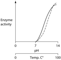 <strong>Consider the thermoacidophile, Sulfolobus acidocaldarius. Which of the following graphs most accurately depicts the expected temperature and pH profiles of its enzymes? (Note: The horizontal axes of these graphs are double, with pH above and temperature below.)  </strong> A)   B)   C)   D)   <div style=padding-top: 35px> 