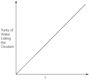   -Which of the following factors, when used to label the horizontal axis of the above graph, would account most directly for the shape of the plot? A) spongin concentration (gm/unit volume)  B) rate of cribrostatin synthesis (molecules/unit time)  C) number of pores per sponge D) number of spicules per sponge E) number of choanocytes per sponge