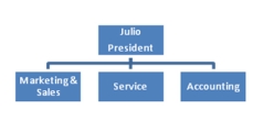 Julio is the owner of Celebration,Inc.a small party supply company.The company provides tents,tables,chairs,and related paraphernalia for wedding,Bar Mitzvah,Bot Mitzvah,graduation,birthday,and other celebratory events.As sales have increased,the organization has hired more personnel and departmentalized to more efficiently handle purchasing,sales,service,and accounting.Everyone is still responsible for achieving company goals.Upon seeing Celebration's organization chart,you agree it uses a line organization model.    Many small businesses begin as line organizations.In a line organization model everyone in the organization is responsible for achieving the company goals.