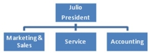 Julio is the owner of Celebration,Inc.a small party supply company.The company provides tents,tables,chairs,and related paraphernalia for wedding,Bar Mitzvah,Bot Mitzvah,graduation,birthday,and other celebratory events.As sales have increased,the organization has hired more personnel and departmentalized to more efficiently handle purchasing,sales,service,and accounting.Everyone is still responsible for achieving company goals.Upon seeing Celebration's organization chart,you agree it uses a ______________.   A)  line organization model B)  line and staff organization model C)  matrix organization model D)  cross-functional team organization model
