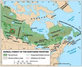 According to the figure below,Canada's Boreal forest lies predominantly in the region:   A)  Northern Frontier B)  Western Frontier C)  French Canada D)  Continental Interior (North)  E)  Maritime Northeast