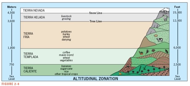 According to Figure 2-4,which of the following would you most likely find at an elevation of 13,000 feet?   A)  coffee plantations B)  potato fields C)  dairy farms D)  sheep or llamas E)  sugarcane harvesting