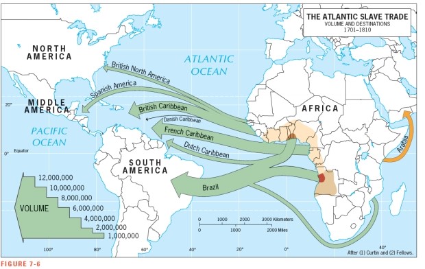 According to Figure 7-6,the largest proportion of the West African slave trade went to ___________________.   A)  North America B)  the British Caribbean Islands C)  the French Caribbean Islands D)  Brazil E)  the Arabian Peninsula