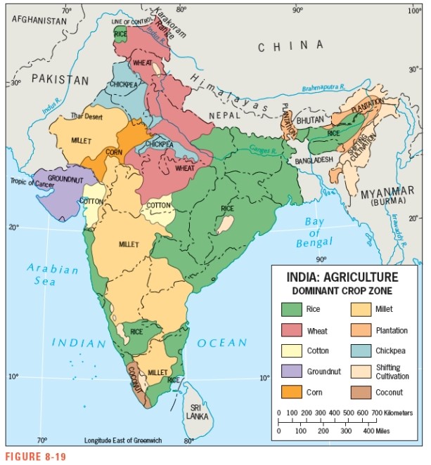Figure 8-19 shows that the most dominant crop in the eastern part of the Ganges River Valley in India is _____________.   A)  wheat B)  rice C)  millet D)  cotton E)  corn