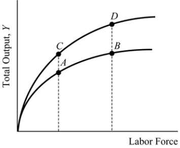   Figure 7.1 -Please refer to Figure 7.1. Suppose the economy is at point D. A war that destroys factories will: A)  move the economy to point B. B)  move the economy to point C. C)  move the economy to point A. D)  keep the economy at point D.