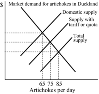   Figure 18.4 -Refer to Figure 18.4. With a tariff or quota, what is the equilibrium quantity of artichokes in Duckland? A)  85 B)  30 C)  75 D)  65