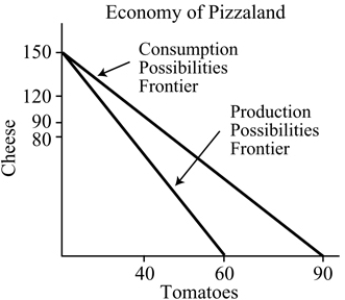   Figure 18.2 -Refer to Figure 18.2. After trade and specialization begin, the maximum amount of tomatoes that Pizzaland can consume is: A)  60. B)  80. C)  120. D)  90.