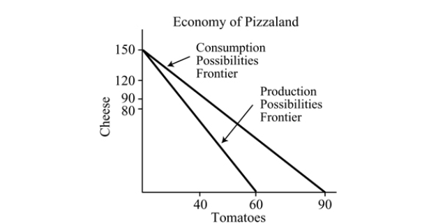   Figure 18.2 -Refer to Figure 18.2. The opportunity cost of producing tomatoes in Pizzaland is: A)  0.6 cheese. B)  2.5 cheese. C)  1.67 cheese. D)  0.4 cheese.