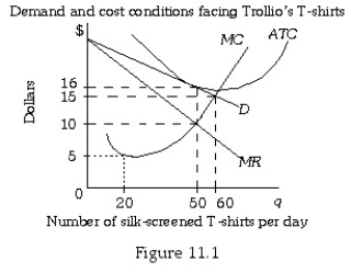   -Refer to Figure 11.1.If Trollio's T-shirts is in long-run equilibrium it is producing ________ silk-screened T-shirts and selling each T-shirt at a price of ________. A) 20;$5 B) 50;$10 C) 50;$16 D) 60;$15