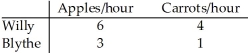 Consider two individuals,Willy and Blythe,who produce carrots and apples.Willy and Blythe's hourly productivity are as follows: Who has the absolute advantage and who has the comparative advantage in the production of apples and carrots?