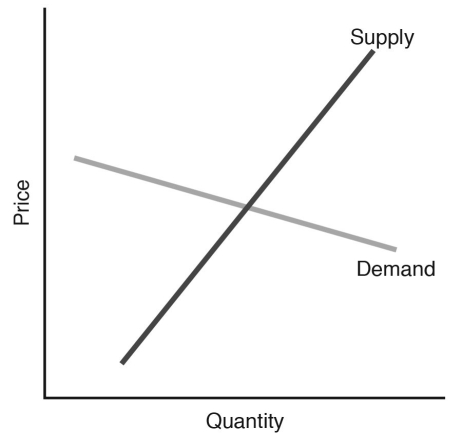    Figure 6.10 -Refer to Figure 6.10.If a tax is imposed on the market in Figure 6.10,________ will bear a larger share of the tax. A)  consumers B)  producers C)  the government D)  no one